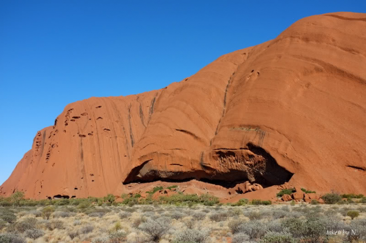 Ngao du Aussie, nhờ các bác chia sẻ kinh nghiệm và chỉ giáo.