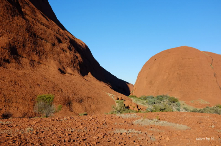 Ngao du Aussie, nhờ các bác chia sẻ kinh nghiệm và chỉ giáo.
