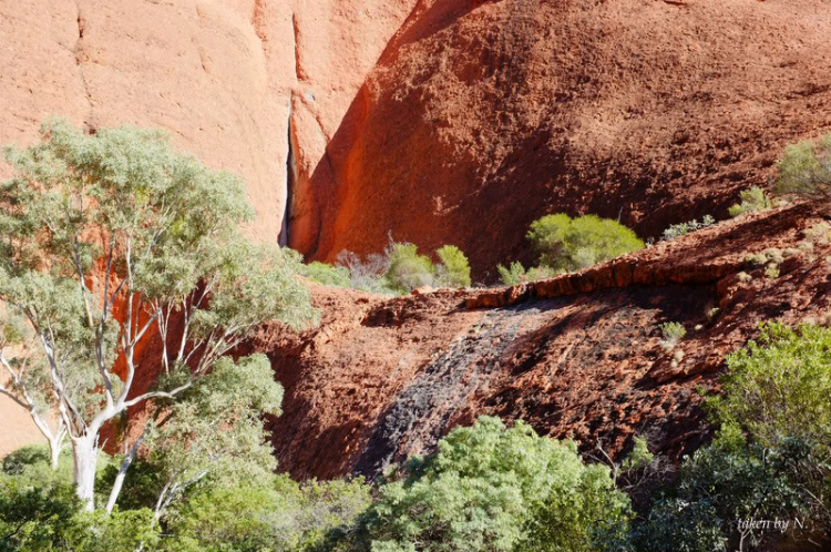 Ngao du Aussie, nhờ các bác chia sẻ kinh nghiệm và chỉ giáo.