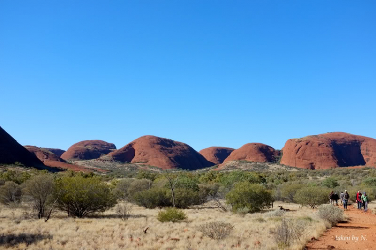 Ngao du Aussie, nhờ các bác chia sẻ kinh nghiệm và chỉ giáo.