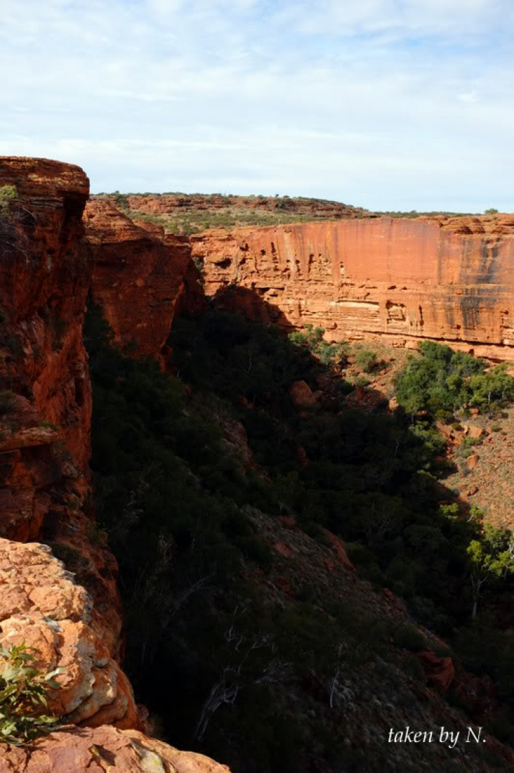 Ngao du Aussie, nhờ các bác chia sẻ kinh nghiệm và chỉ giáo.