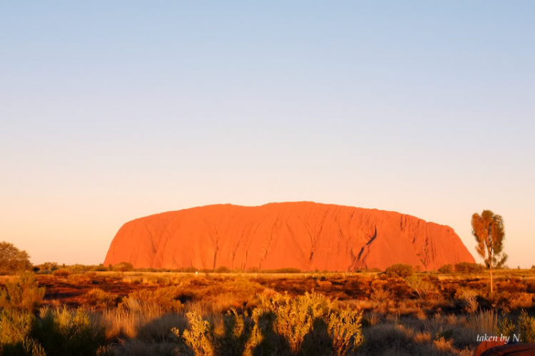 Ngao du Aussie, nhờ các bác chia sẻ kinh nghiệm và chỉ giáo. Ngao du Aussie, nhờ các bác chia sẻ kinh nghiệm và chỉ giáo.