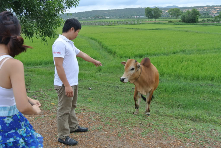 LỄ HỘI MAGNAFEST 2012 – MAGNATEC Bảo Vệ Hoàn Hảo. Khởi Động Mùa Hè Cực Đỉnh Cùng Castrol