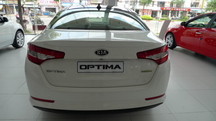 tư vấn mua Optima