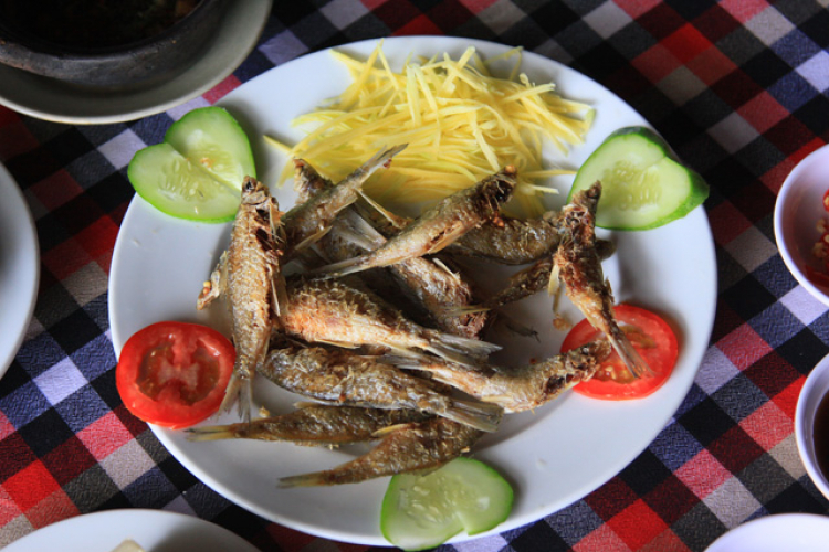 Ai đi phượt không?