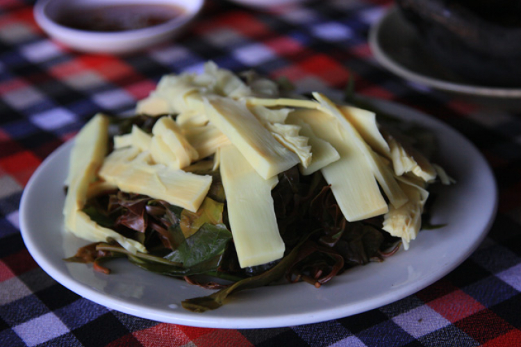 Ai đi phượt không?