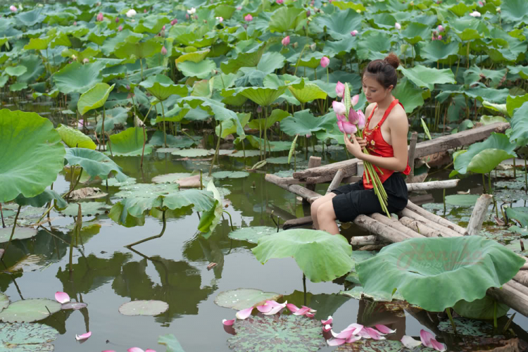 Thiếu nữ e ấp Sen hồng