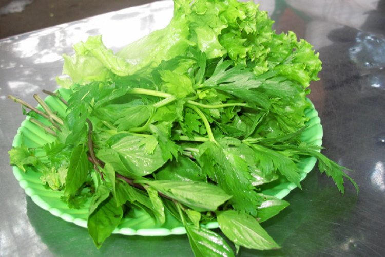 Ai đi phượt không?