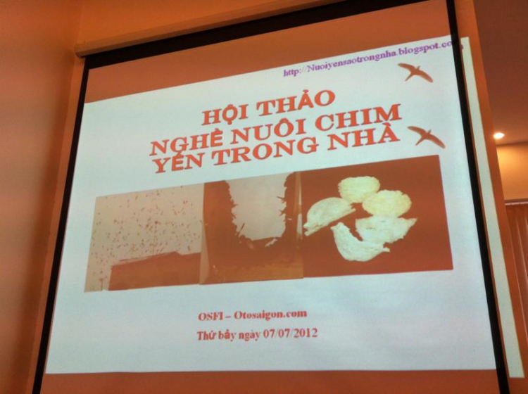 Nuôi yến ở Cần Giờ có khả thi ko các bác?