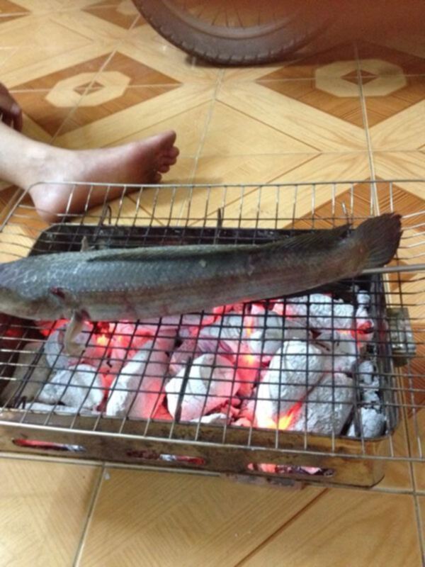 S.O.S - Cafe, off chai nhanh gọn không hẹn trước