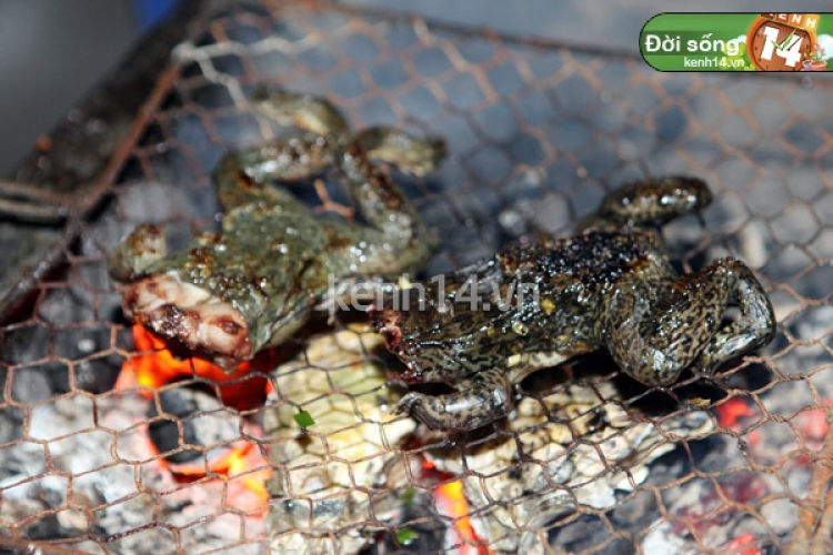 Miệt vườn Miệt vườn