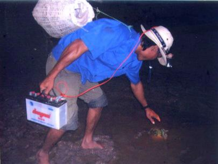 Miệt vườn Miệt vườn