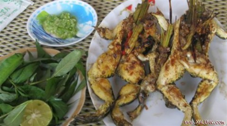 Miệt vườn Miệt vườn