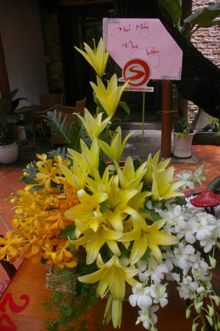 Hình ảnh tường thuật trực tiếp buổi Khai trương Cafe GOM_F1racer Hình ảnh tường thuật trực tiếp buổi Khai trương Cafe GOM_F1racer
