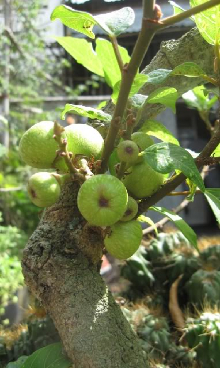 Chúc mừng sinh nhựt bác Mr Đàm Cả Tú