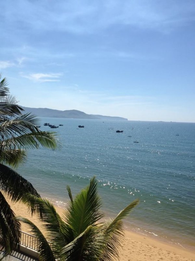 NGOINHAXANH và NHỮNG NGƯỜI BẠN