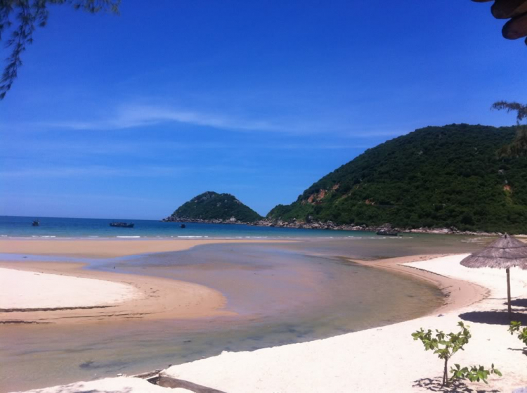 NGOINHAXANH và NHỮNG NGƯỜI BẠN