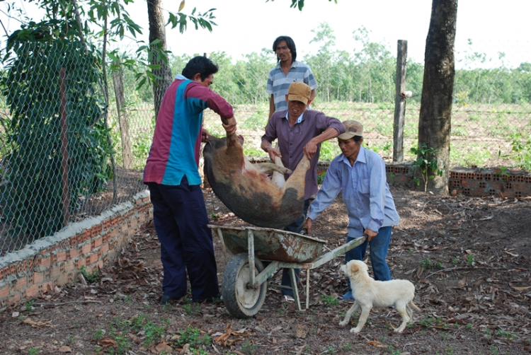 Bóng bàn chuyến đi lễ Quốc khánh 2/9 (đã có lịch trình cụ thể)