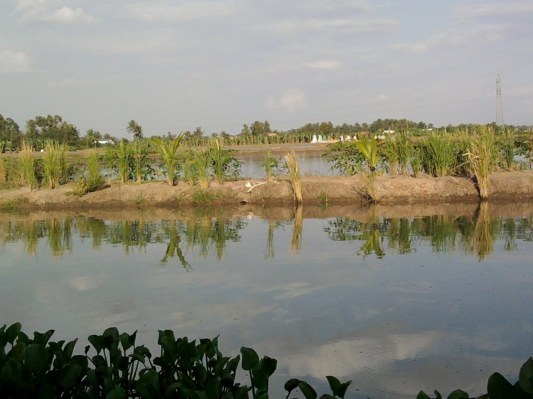 Hội nông dân( trồng trọt ,chăn nuôi).