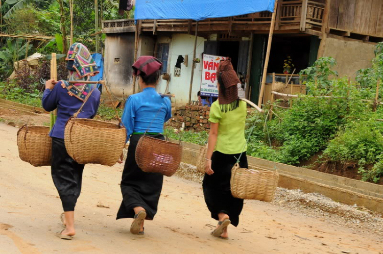 Hà nội ơi....