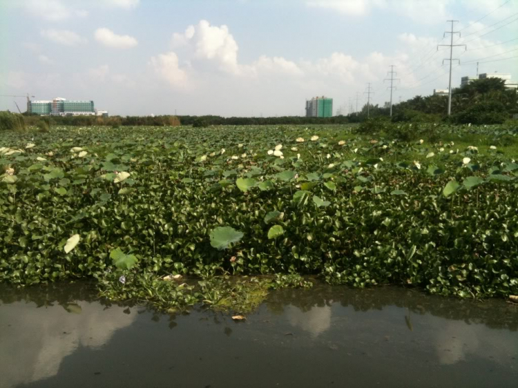 Hội nông dân( trồng trọt ,chăn nuôi).