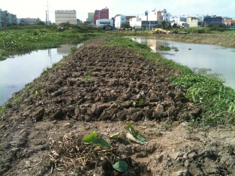 Hội nông dân( trồng trọt ,chăn nuôi).