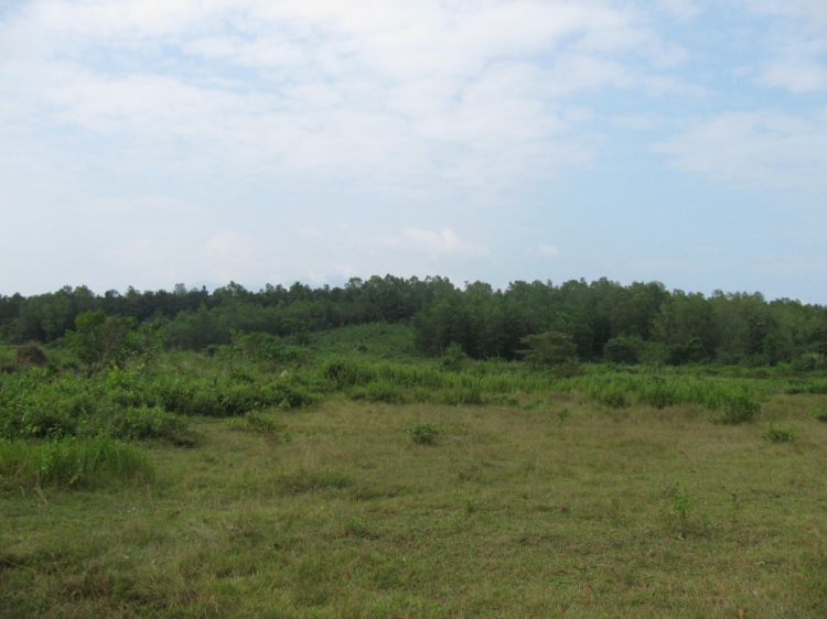 Hội nông dân( trồng trọt ,chăn nuôi). Hội nông dân( trồng trọt ,chăn nuôi).