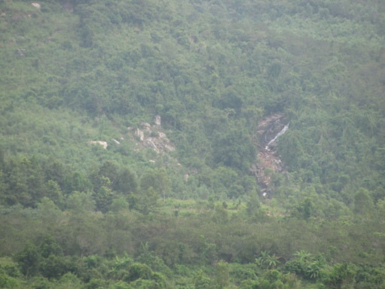 Hội nông dân( trồng trọt ,chăn nuôi). Hội nông dân( trồng trọt ,chăn nuôi).