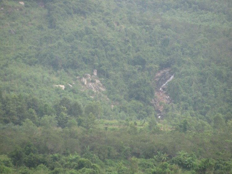 Hội nông dân( trồng trọt ,chăn nuôi).