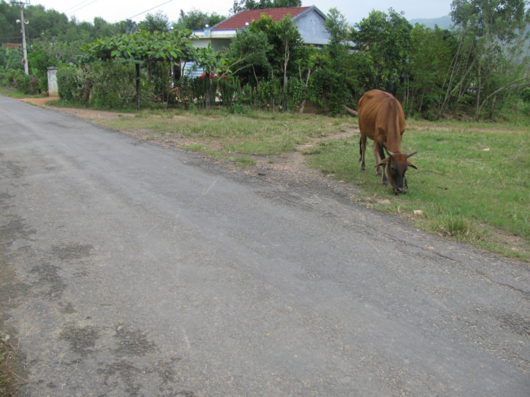 Hội nông dân( trồng trọt ,chăn nuôi).