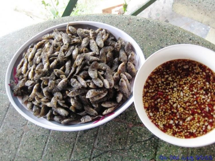 Hội nông dân( trồng trọt ,chăn nuôi).