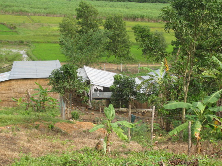 Hội nông dân( trồng trọt ,chăn nuôi).