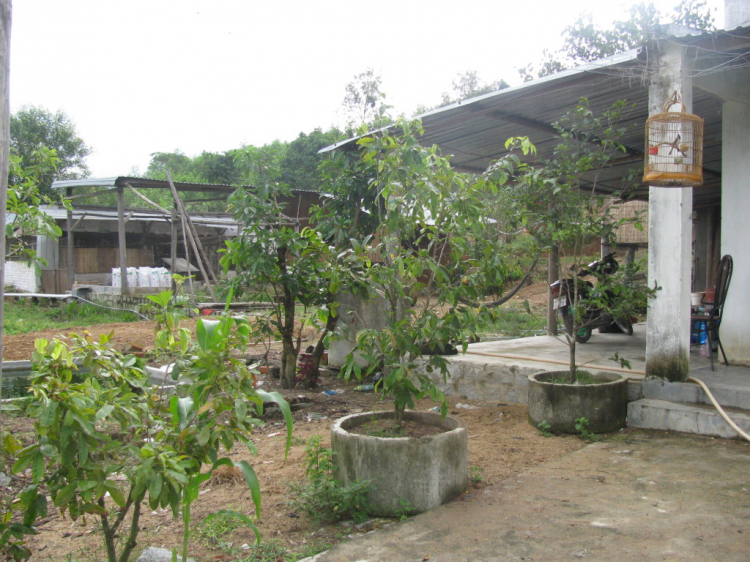 Hội nông dân( trồng trọt ,chăn nuôi). Hội nông dân( trồng trọt ,chăn nuôi).