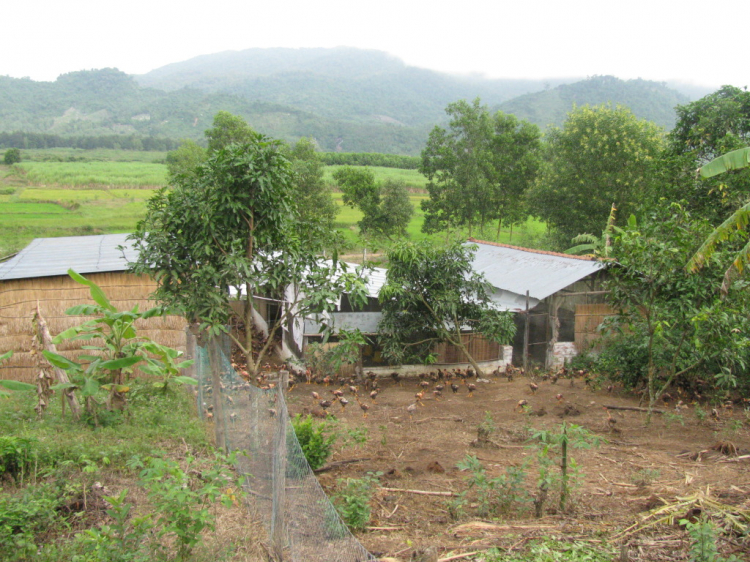 Hội nông dân( trồng trọt ,chăn nuôi).