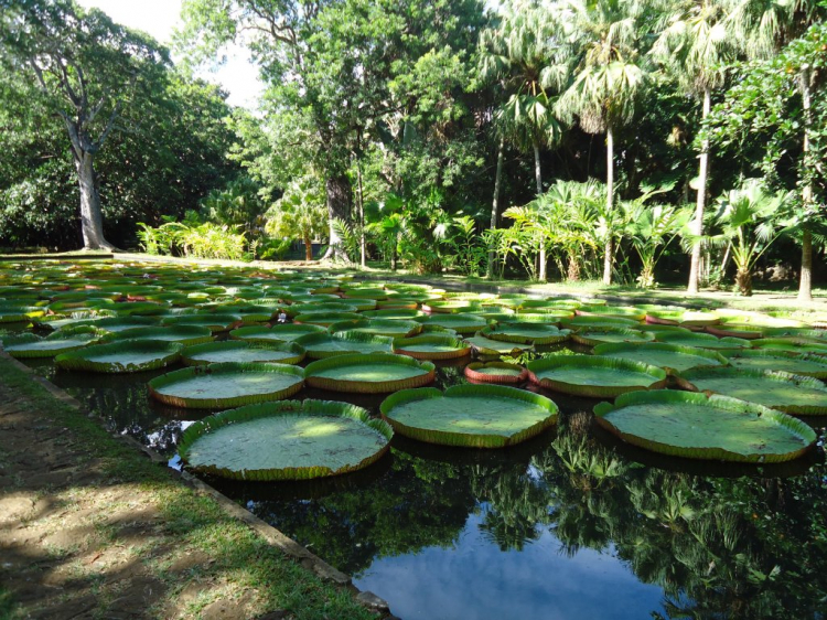 Em đang ở Tây Phi - Bờ Biển Ngà