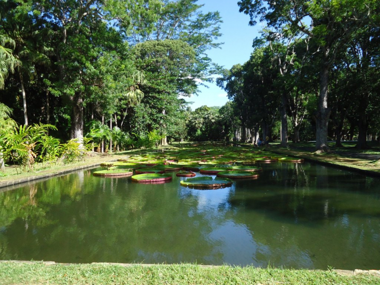 Em đang ở Tây Phi - Bờ Biển Ngà