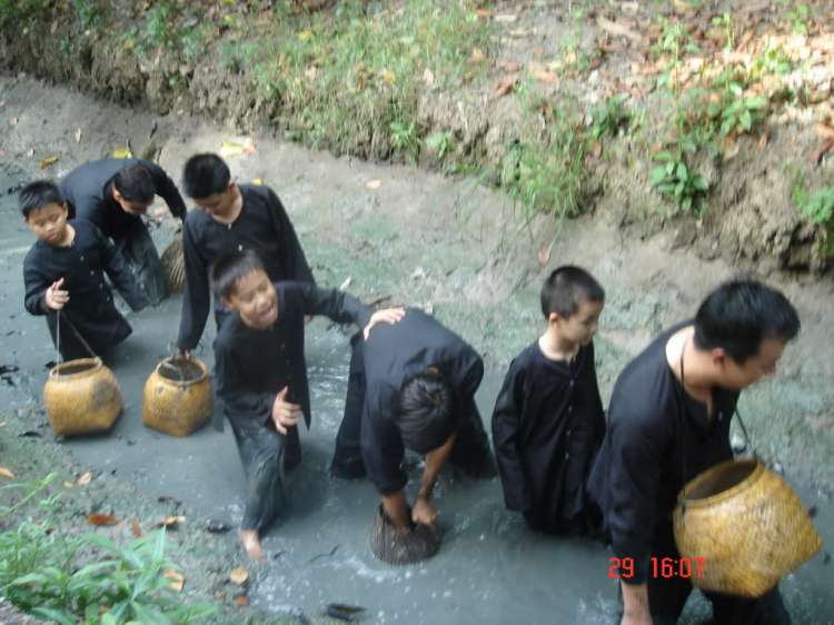 Du lịch tát ao, bắt cá.