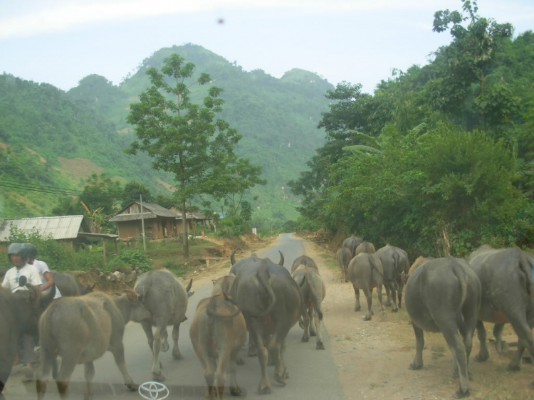 Trên đường ta đi ...