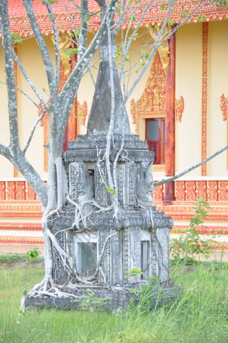 Tiến về Năm Căn vì các em thân yêu. Tiến về Năm Căn vì các em thân yêu.