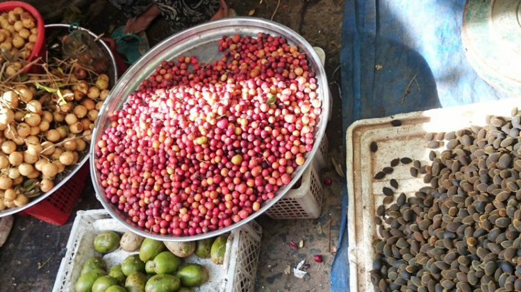 Chuyến du lịch hè 2014 biển và núi của nhà em. Chuyến du lịch hè 2014 biển và núi của nhà em.