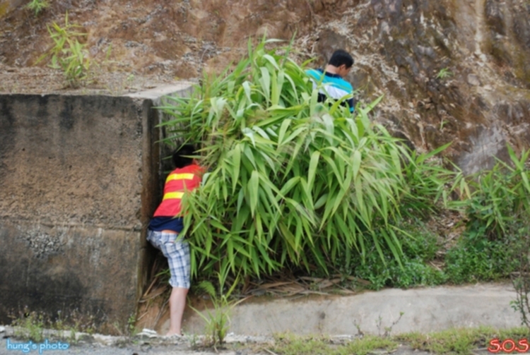 [S.O.S]  HÌNH ẢNH Buôn Ma Thuột- ẤN TƯỢNG ĐẤT CAO NGUYÊN