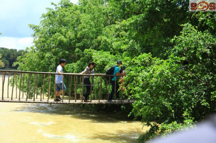 [S.O.S]  HÌNH ẢNH Buôn Ma Thuột- ẤN TƯỢNG ĐẤT CAO NGUYÊN