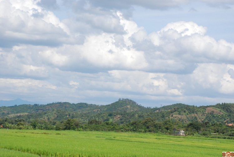 [S.O.S]  HÌNH ẢNH Buôn Ma Thuột- ẤN TƯỢNG ĐẤT CAO NGUYÊN