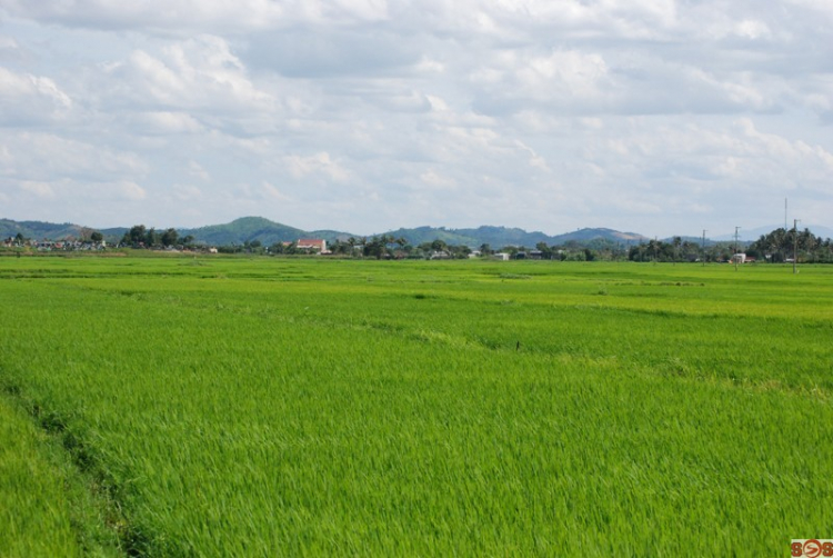 [S.O.S]  HÌNH ẢNH Buôn Ma Thuột- ẤN TƯỢNG ĐẤT CAO NGUYÊN