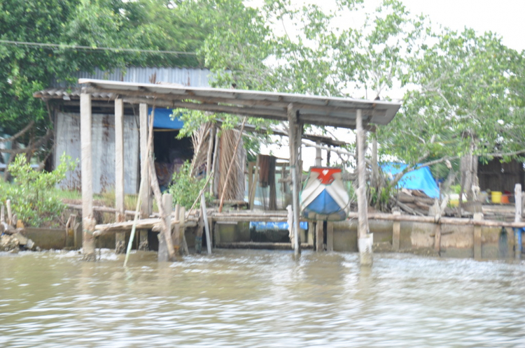 Trên đường ta đi ...