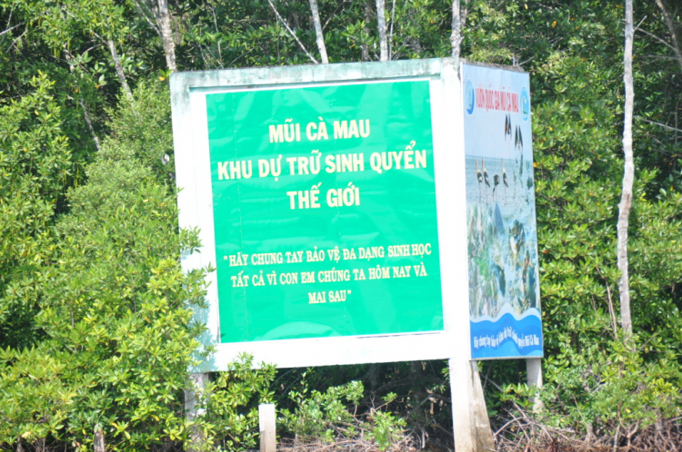 Trên đường ta đi ... Trên đường ta đi ...