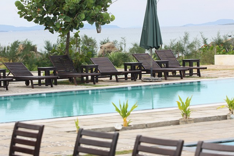 Phú Yên, một chuyến đi du lịch đầy thú vị! Phú Yên, một chuyến đi du lịch đầy thú vị!