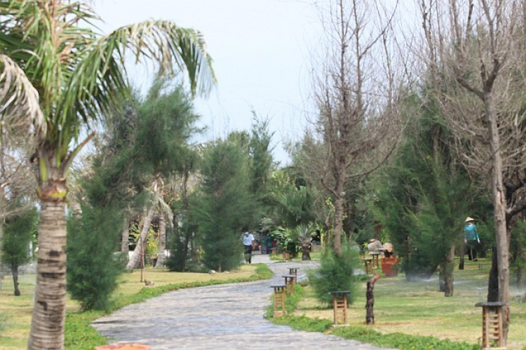 Phú Yên, một chuyến đi du lịch đầy thú vị! Phú Yên, một chuyến đi du lịch đầy thú vị!