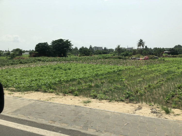 Em đang ở Tây Phi - Bờ Biển Ngà Em đang ở Tây Phi - Bờ Biển Ngà