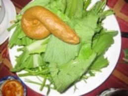 NGOINHAXANH và NHỮNG NGƯỜI BẠN